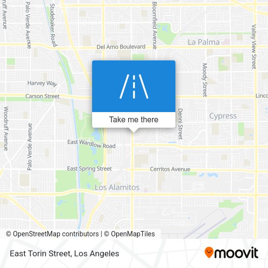 East Torin Street map