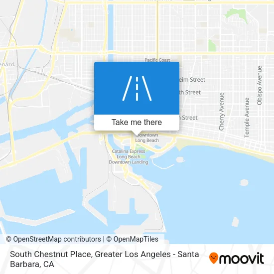 South Chestnut Place map
