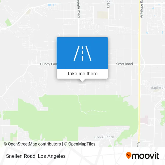Snellen Road map