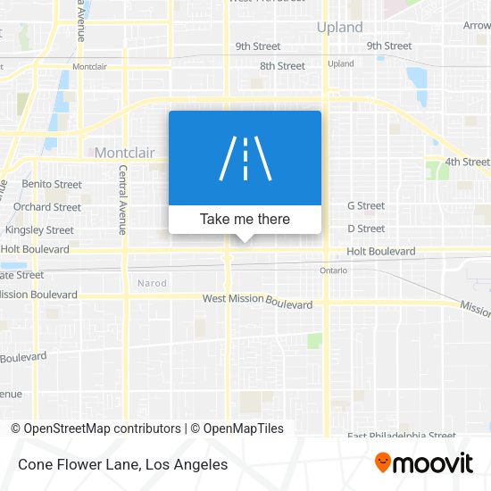 Cone Flower Lane map