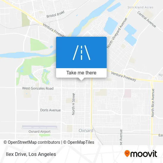 Ilex Drive map