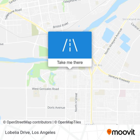 Mapa de Lobelia Drive