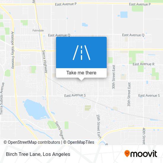 Mapa de Birch Tree Lane