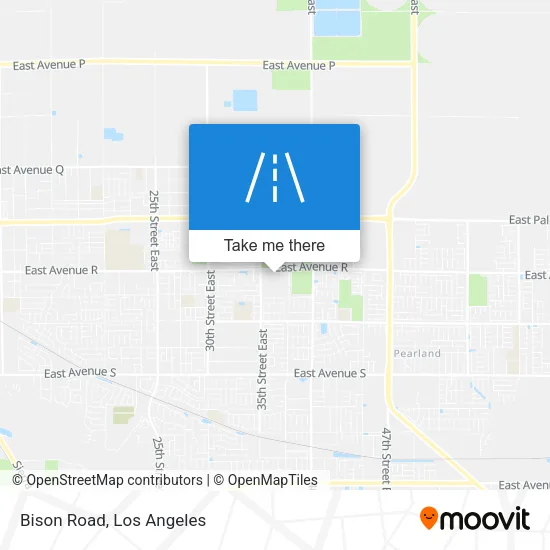 Bison Road map