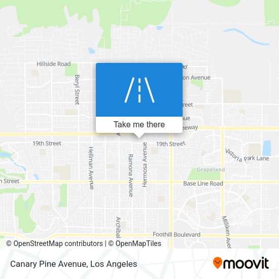Canary Pine Avenue map