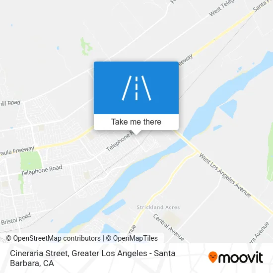 Cineraria Street map