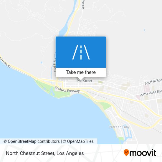 North Chestnut Street map