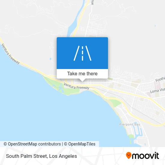 South Palm Street map
