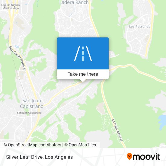 Silver Leaf Drive map
