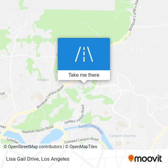 Lisa Gail Drive map