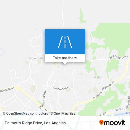 Palmetto Ridge Drive map