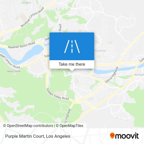 Purple Martin Court map