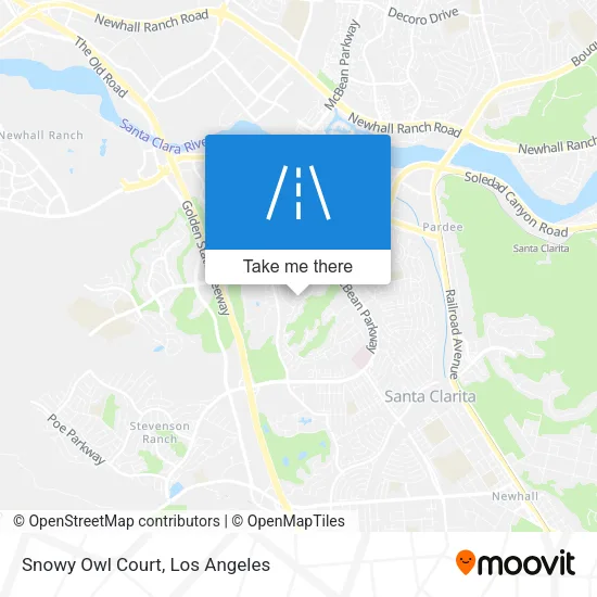 Snowy Owl Court map