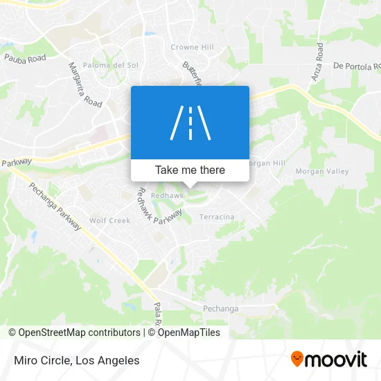Miro Circle map