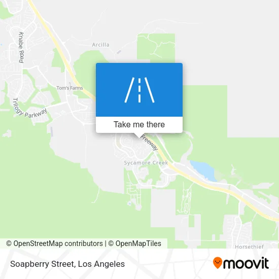 Soapberry Street map