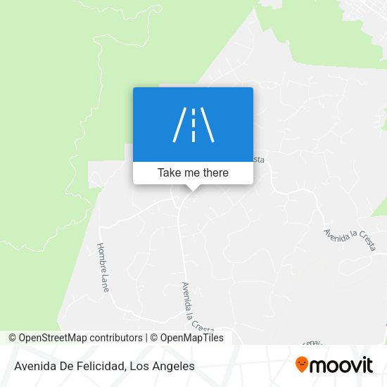 Avenida De Felicidad map