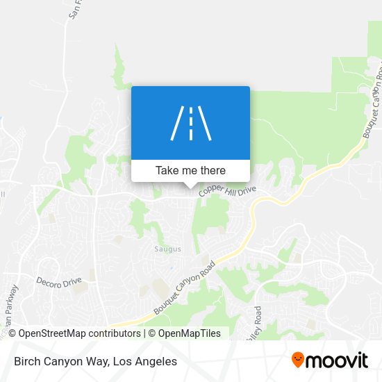 Mapa de Birch Canyon Way