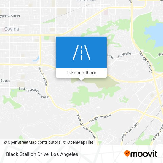 Black Stallion Drive map