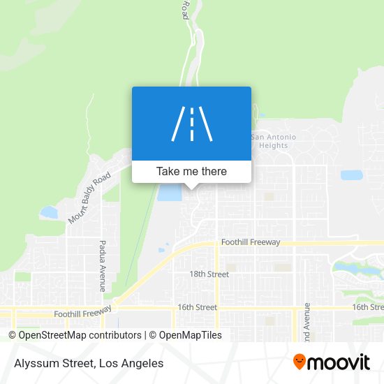 Mapa de Alyssum Street