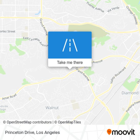 Princeton Drive map