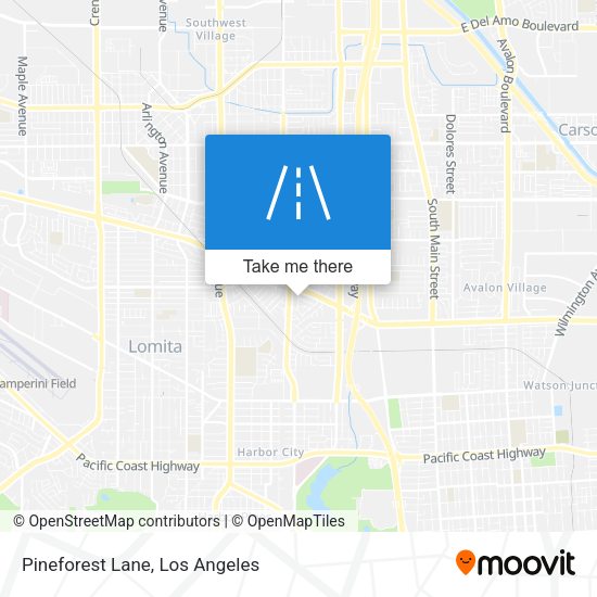 Mapa de Pineforest Lane