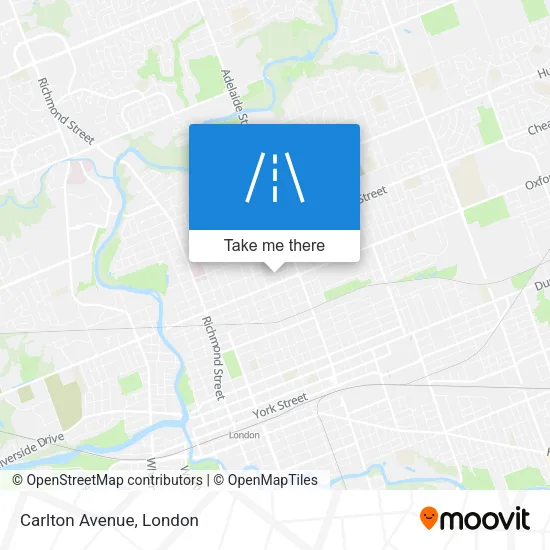 Carlton Avenue map