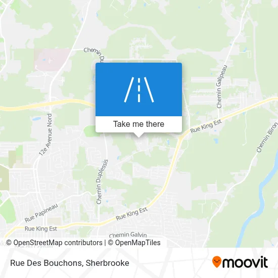 Rue Des Bouchons map