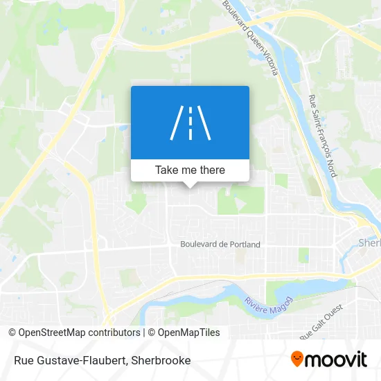 Rue Gustave-Flaubert map