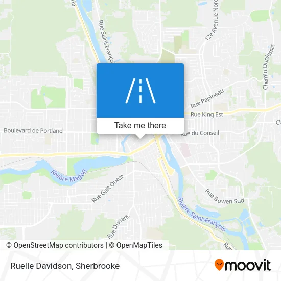 Ruelle Davidson map