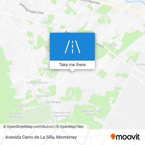 Avenida Cerro de La Silla map