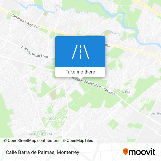Calle Barra de Palmas map