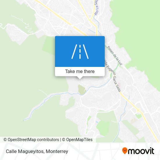 Mapa de Calle Magueyitos