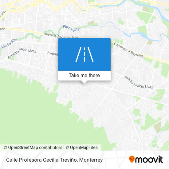 Calle Profesora Cecilia Treviño map