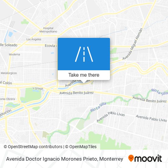 Avenida Doctor Ignacio Morones Prieto map