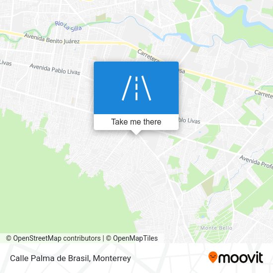 Calle Palma de Brasil map