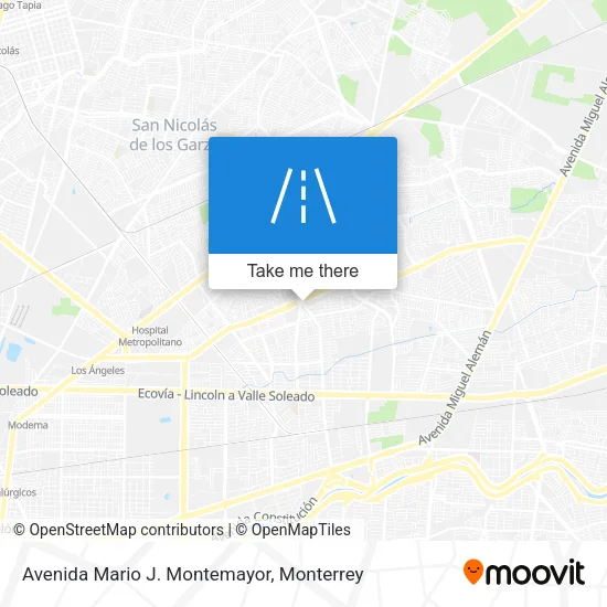 Mapa de Avenida Mario J. Montemayor