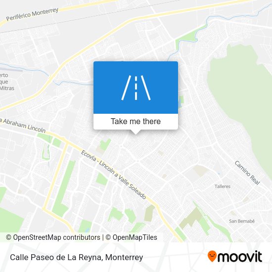 Calle Paseo de La Reyna map