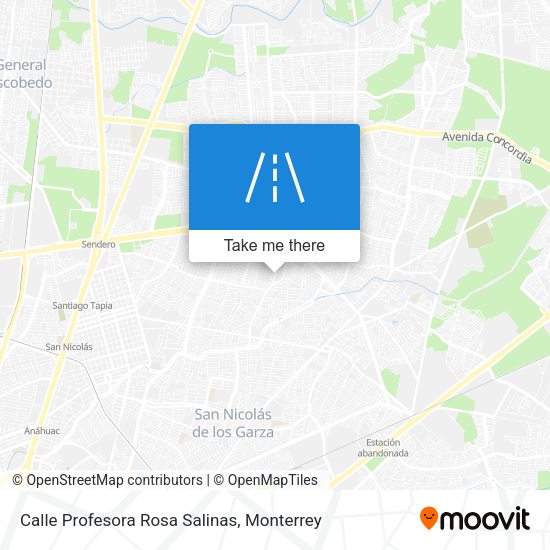 Mapa de Calle Profesora Rosa Salinas