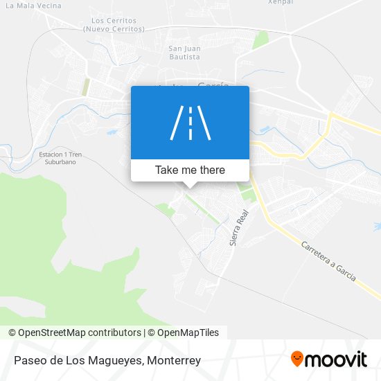 Paseo de Los Magueyes map