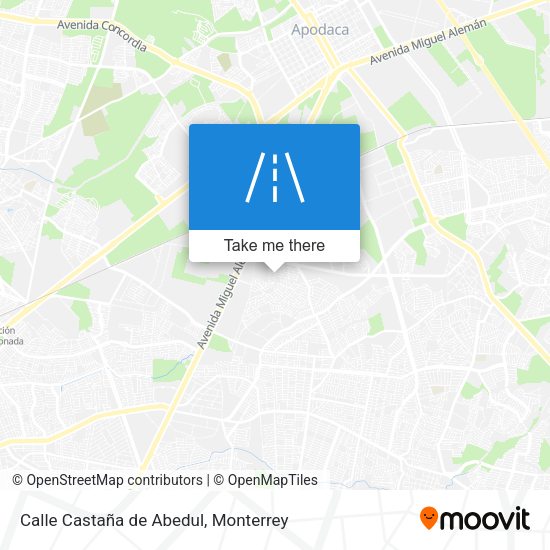 Calle Castaña de Abedul map