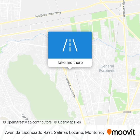 Mapa de Avenida Licenciado Ra?L Salinas Lozano
