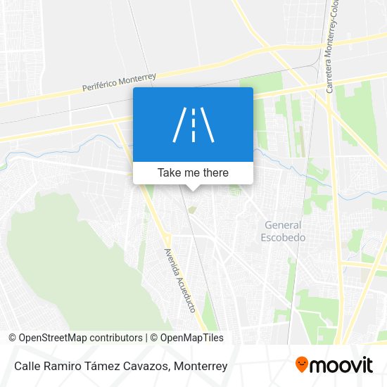 Calle Ramiro Támez Cavazos map