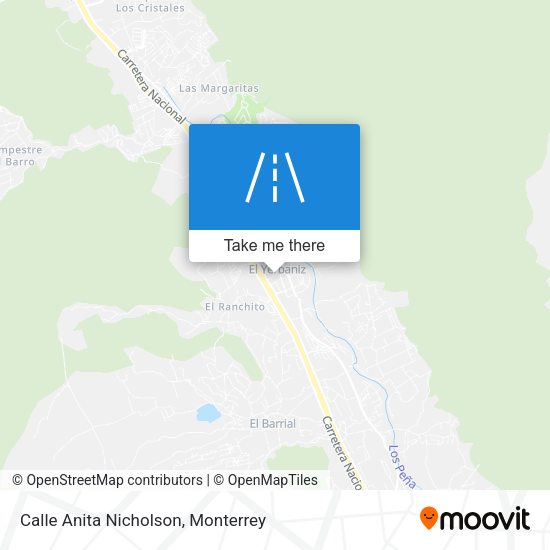 Calle Anita Nicholson map
