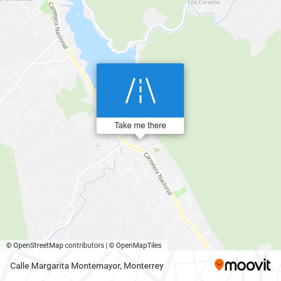 Mapa de Calle Margarita Montemayor