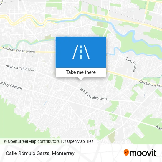 Calle Rómulo Garza map