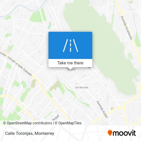 Mapa de Calle Toronjas