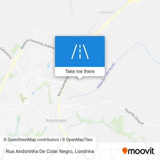 Rua Andorinha De Colar Negro map
