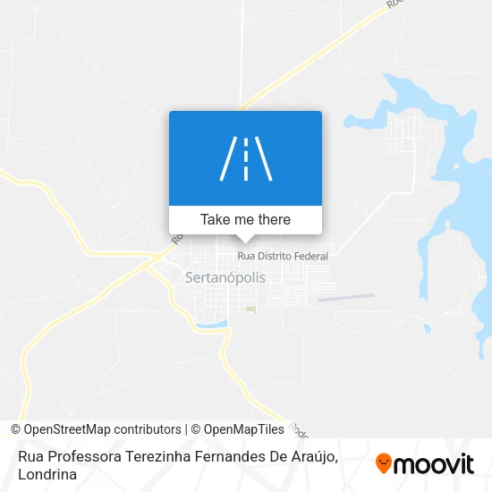 Rua Professora Terezinha Fernandes De Araújo map
