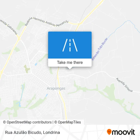 Rua Azulão Bicudo map