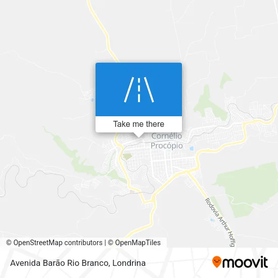 Avenida Barão Rio Branco map